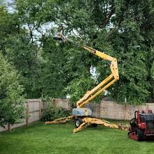 Grass Overseeding in Monmouth, IL